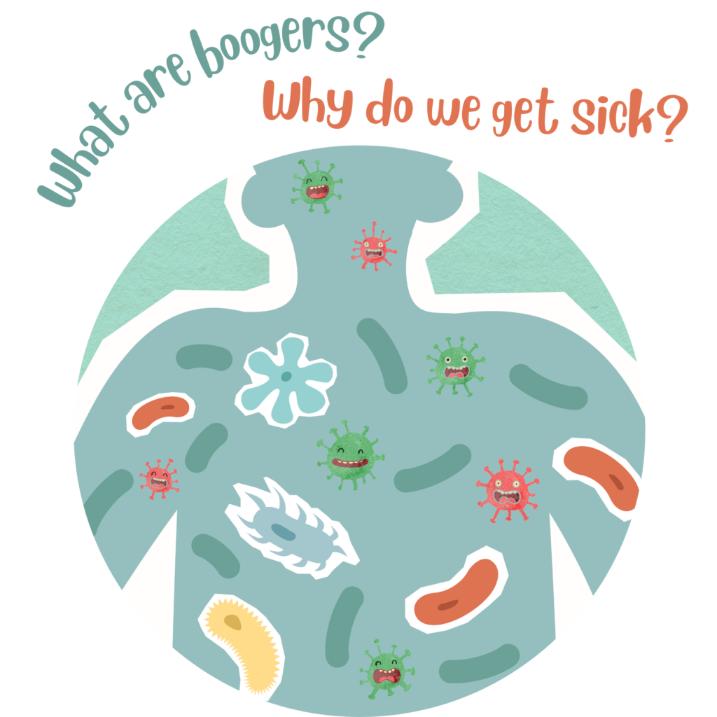 Germs and The Human Body Website Button