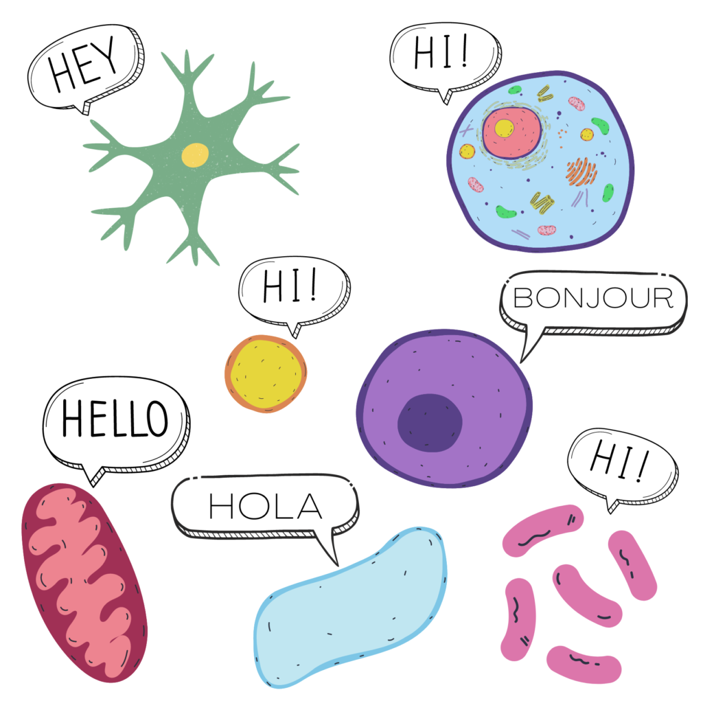 Body cells saying Hi, Hello, Hola, Hey, and Bonjour!